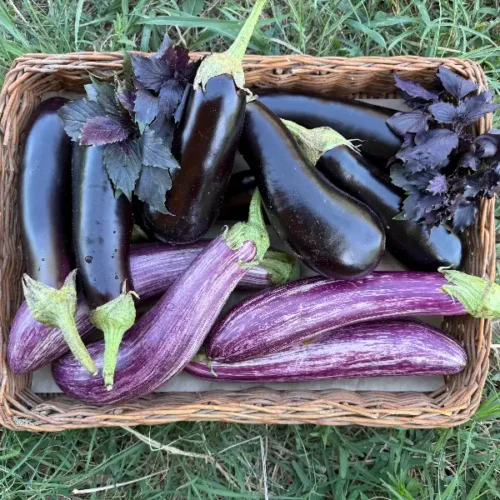 ბადრიჯნის მიქსი