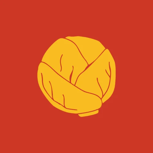 კომბოსტო