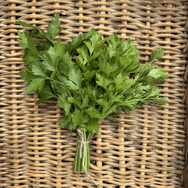 ოხრახუში