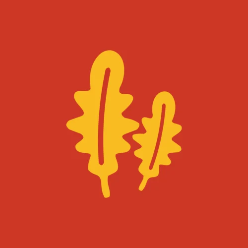 რუკოლა