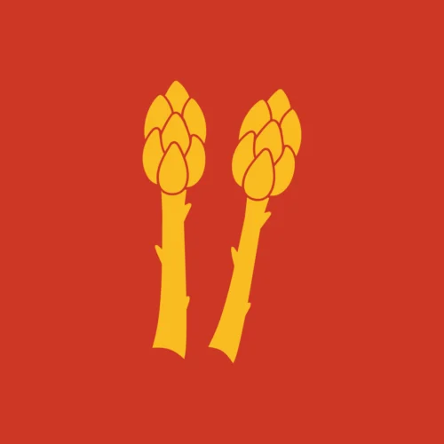 სატაცური