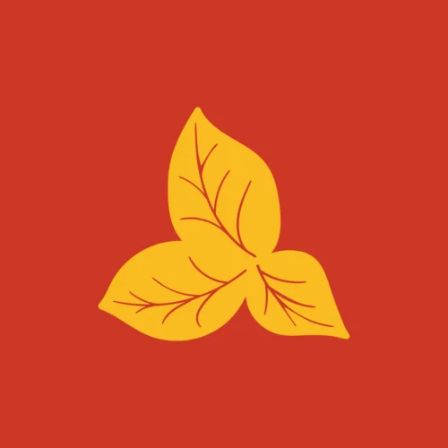 შაშკვლავი