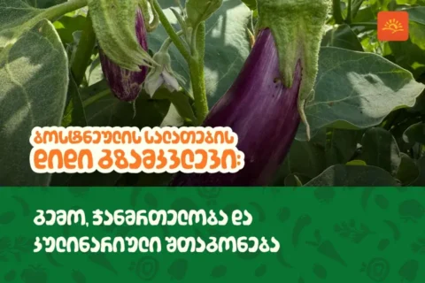 ბოსტნეულის სალათების ჩამონათვალი